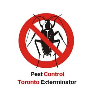 Pest Control Toronto Exterminator